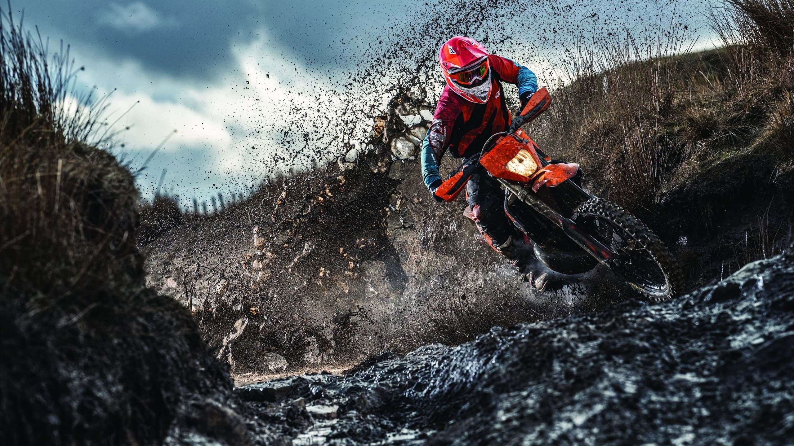 广东队关键阶段命中率提升牢牢掌控局势,广东队队员数据