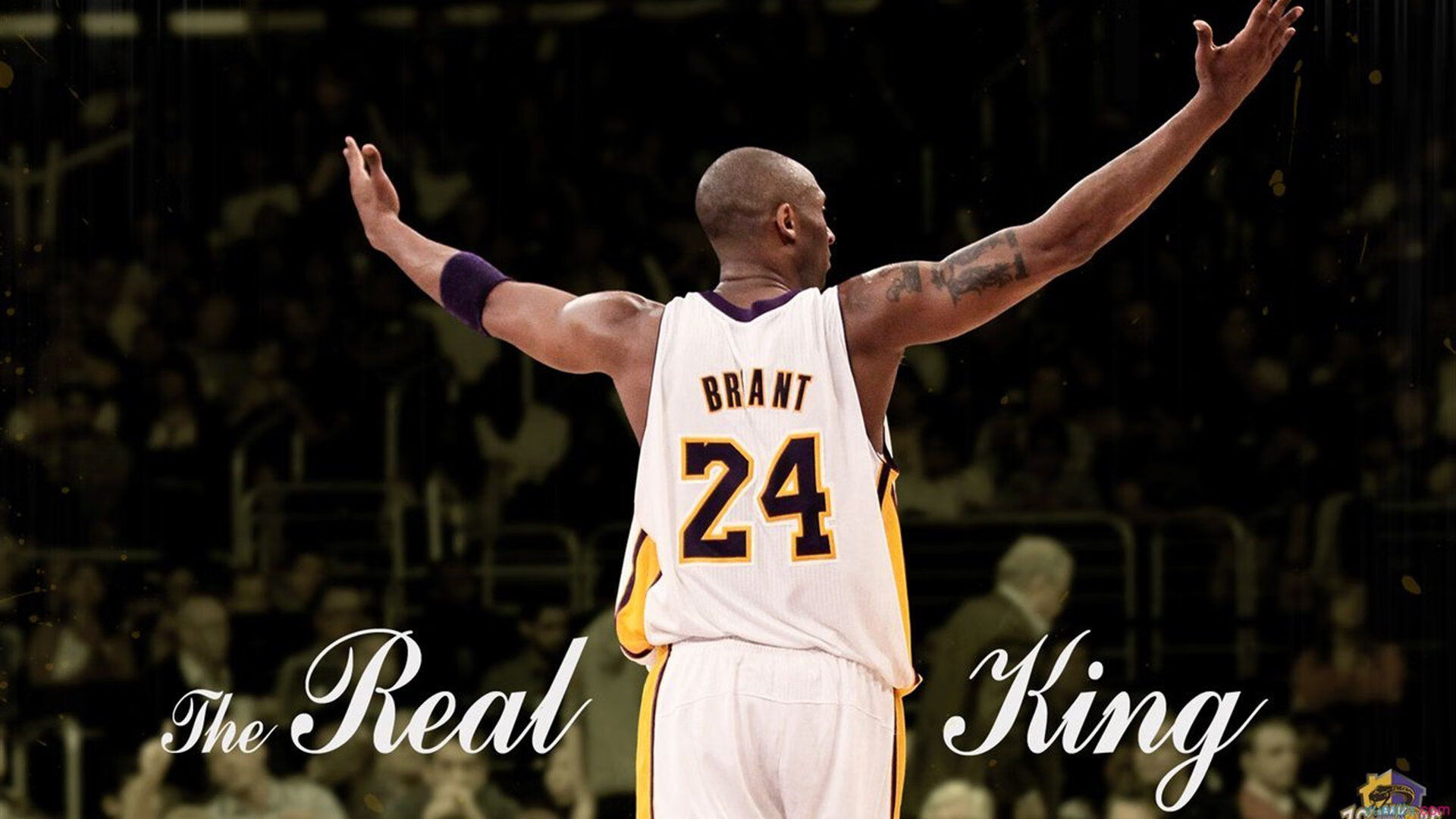 九游APP官网-《电竞赛事的环境影响：绿色环保备受关注》，电竞行业环境