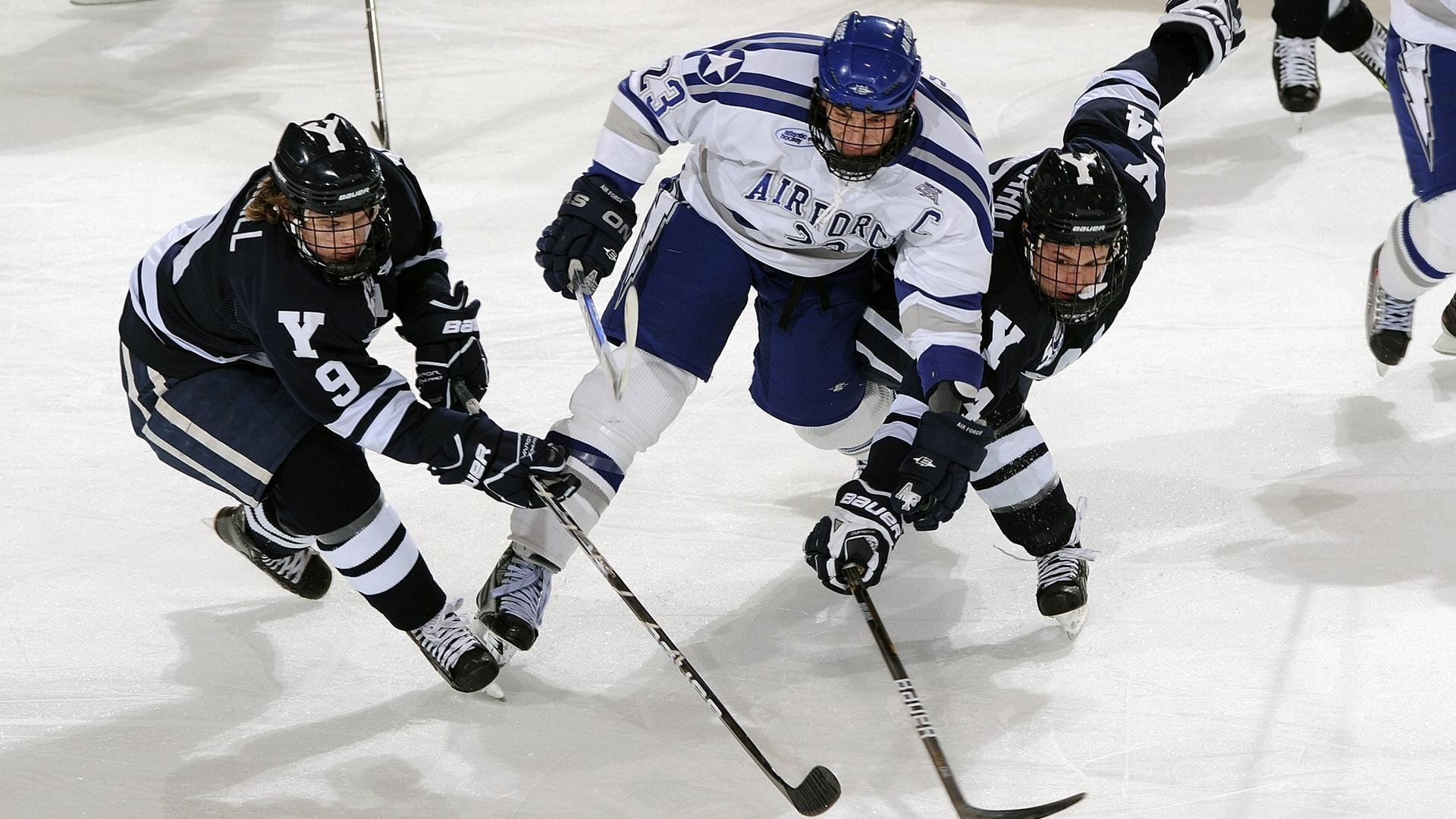 活力新锐：联盟中最具活力的年轻组合，全新活力